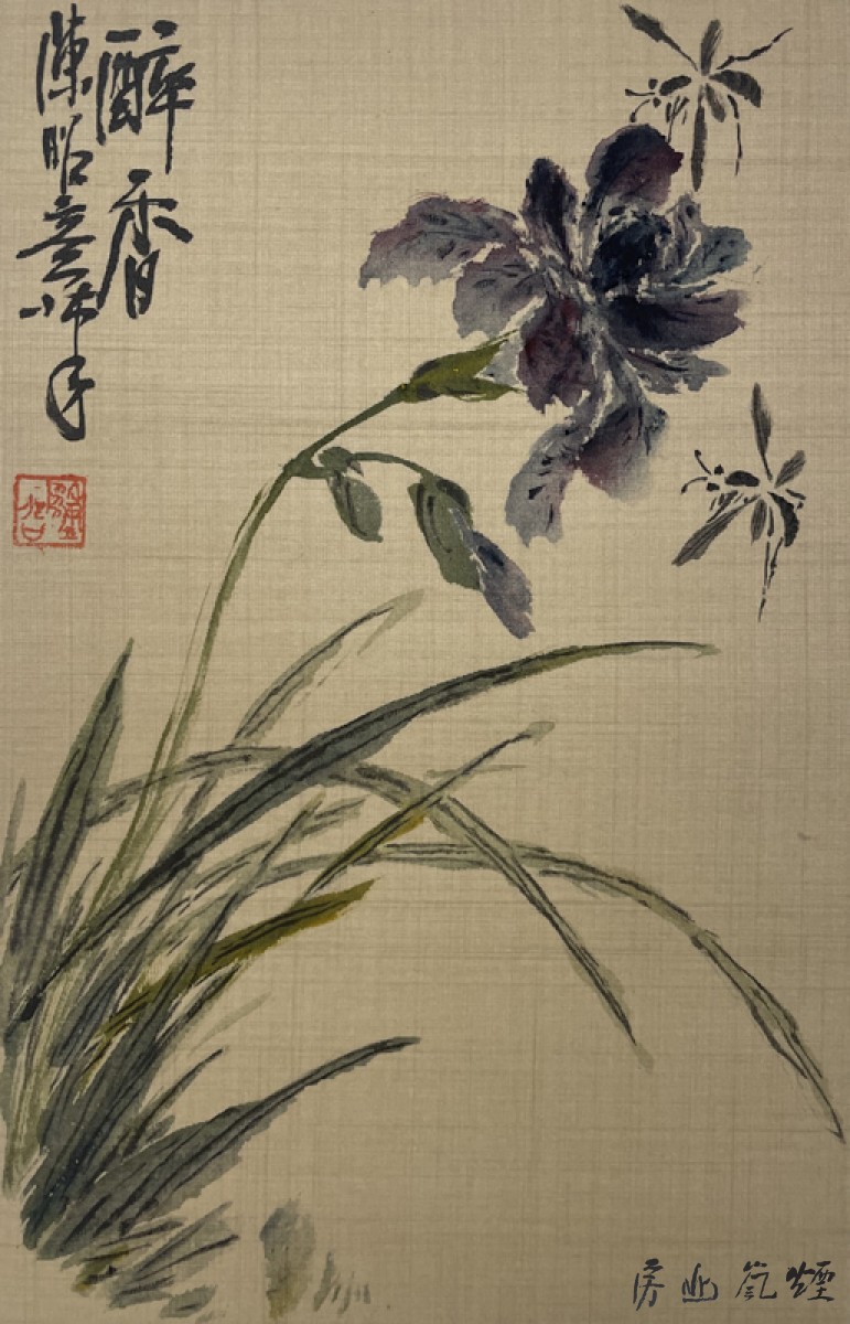 陈昭卷本12张一套 - 图片 2