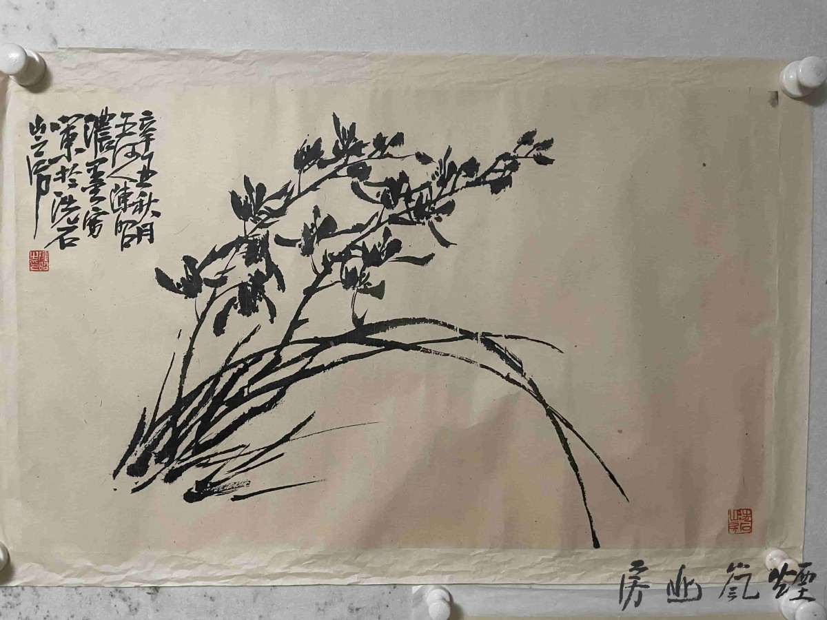 陈昭作品