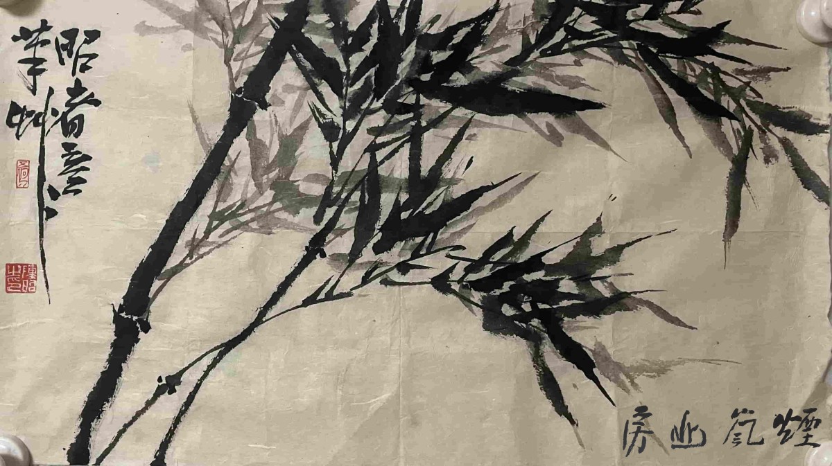 陈昭作品