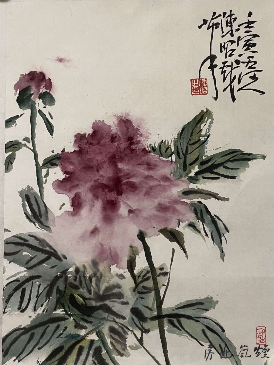 陈昭作品