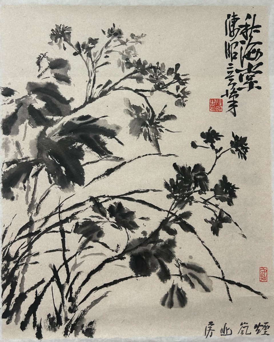 陈昭  作 品
