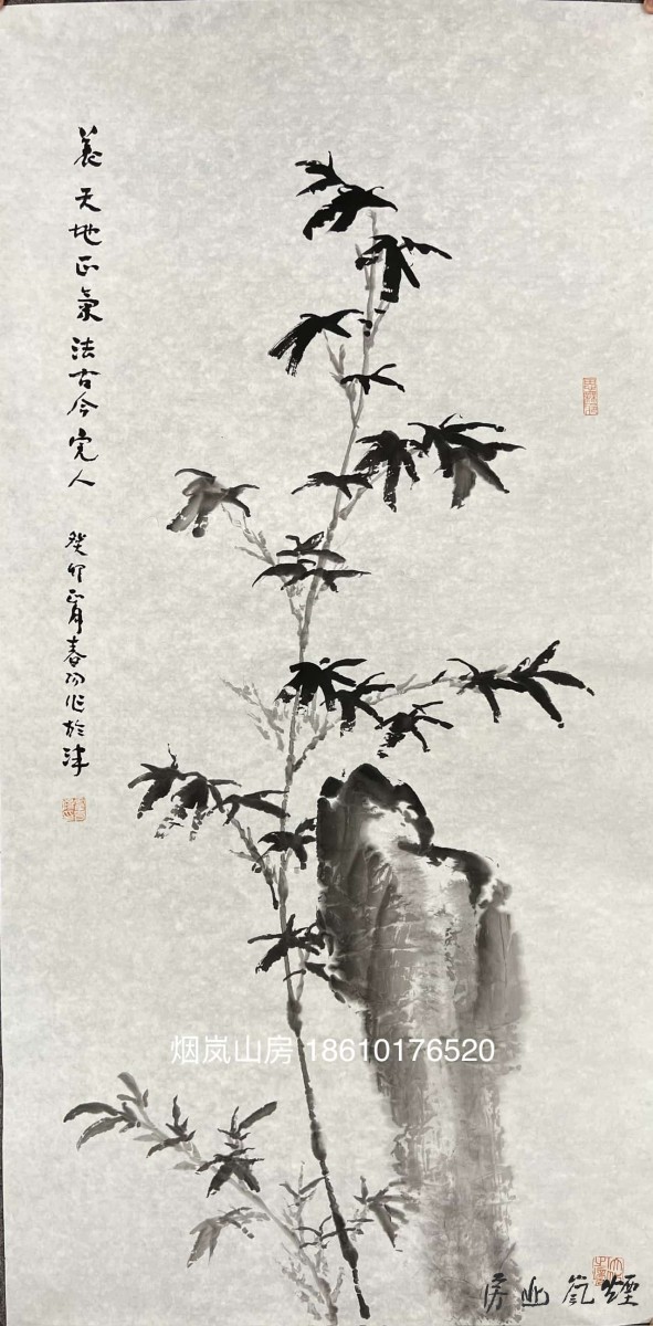 霍春阳