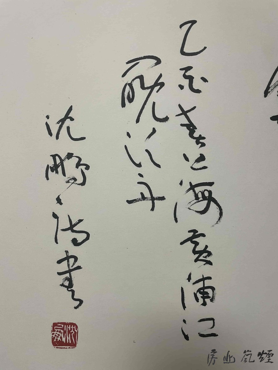 沈鹏 - 图片 2