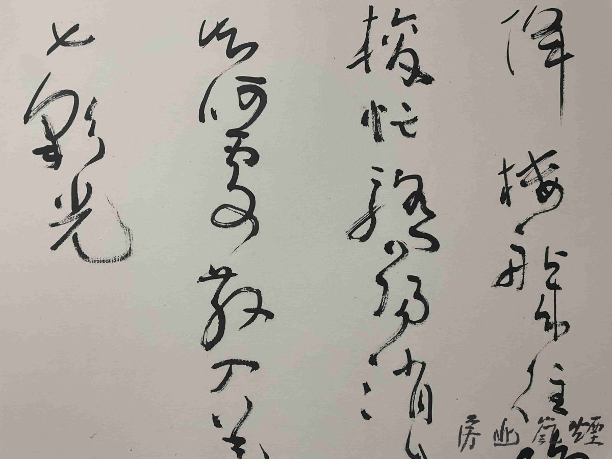 沈鹏 - 图片 3