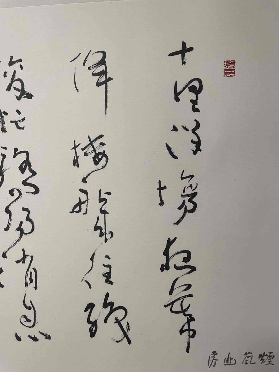 沈鹏 - 图片 4